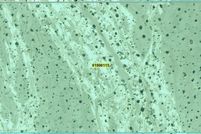 Property for sale in Nye County, Nevada