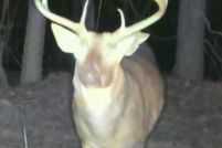 Property for sale in Elmore County, Alabama