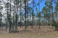Property for sale in Levy County, Florida