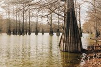 Property for sale in Tallahatchie County, Mississippi