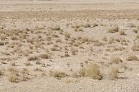 Property for sale in Socorro County, New Mexico