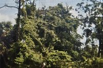 Property for sale in Charlotte County, Florida