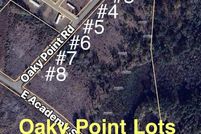 Undeveloped Land for sale in Dillon County, South Carolina