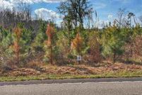 Undeveloped Land for sale in Dillon County, South Carolina