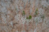 Property for sale in Hickory County, Missouri