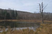 Undeveloped Land for sale in Otsego County, New York
