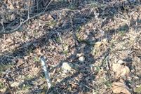 Property for sale in Ozark County, Missouri