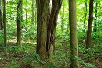 Property for sale in Porter County, Indiana