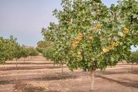 Undeveloped Land for sale in Fresno County, California
