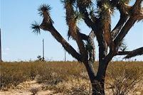 Farm Property for sale in Mohave County, Arizona