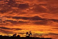 Property for sale in Mohave County, Arizona