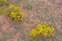 Property for sale in Mohave County, Arizona