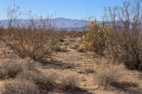 Property for sale in Mohave County, Arizona