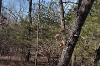 Property for sale in Sharp County, Arkansas