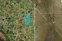 Undeveloped Land for sale in Polk County, Florida
