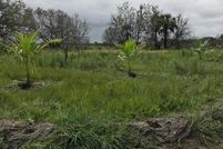 Property for sale in Okeechobee County, Florida