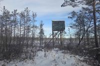 Undeveloped Land for sale in Alcona County, Michigan