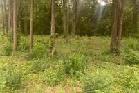 Property for sale in Wayne County, Mississippi