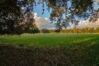 Undeveloped Land for sale in Gilchrist County, Florida