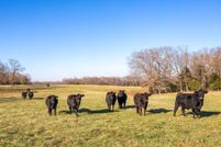 Property for sale in Carroll County, Arkansas