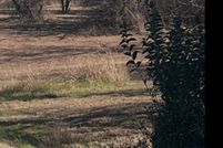 Property for sale in Wise County, Texas