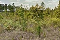 Property for sale in Brantley County, Georgia