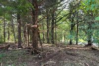 Property for sale in Henderson County, Texas