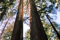 Property for sale in Tulare County, California