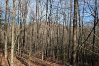 Undeveloped Land for sale in Cherokee County, North Carolina