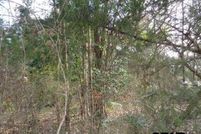 Property for sale in Wood County, Texas
