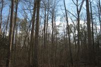 Undeveloped Land for sale in Accomack County, Virginia