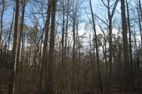 Undeveloped Land for sale in Accomack County, Virginia