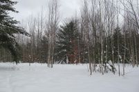 Undeveloped Land for sale in Wexford County, Michigan