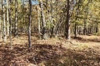 Undeveloped Land for sale in Bartow County, Georgia