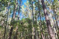 Property for sale in Houston County, Texas