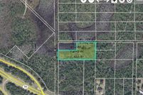 Undeveloped Land for sale in Orange County, Florida