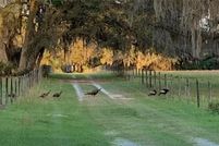 Property for sale in Putnam County, Florida