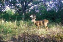 Property for sale in Jackson County, Missouri