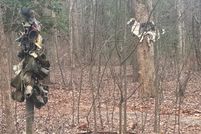 Property for sale in Dawson County, Georgia