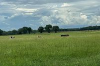 Property for sale in Dixie County, Florida