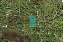 Undeveloped Land for sale in Polk County, Florida