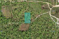 Undeveloped Land for sale in Polk County, Florida
