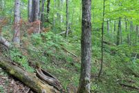 Property for sale in Iron County, Wisconsin