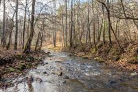 Undeveloped Land for sale in Gilmer County, Georgia