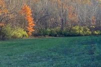 Waterfront Property for sale in Bracken County, Kentucky