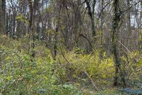 Property for sale in Fulton County, Georgia