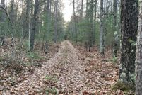 Property for sale in Lake County, Michigan