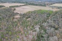 Undeveloped Land for sale in Pike County, Alabama