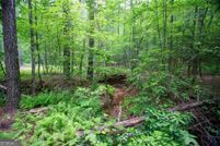 Property for sale in Lumpkin County, Georgia