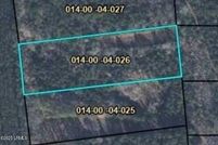 Undeveloped Land for sale in Jasper County, South Carolina